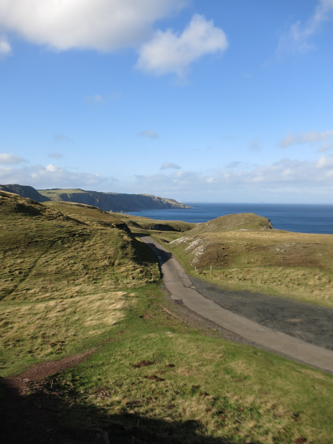 A Little Bit About VIETOPIA